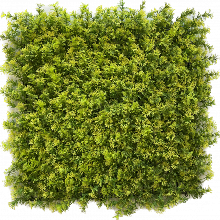 Thuja occidentalis LG Artificial Green Wall
