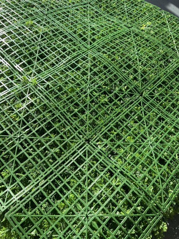Summer Artificial Green Wall 1m x 1m